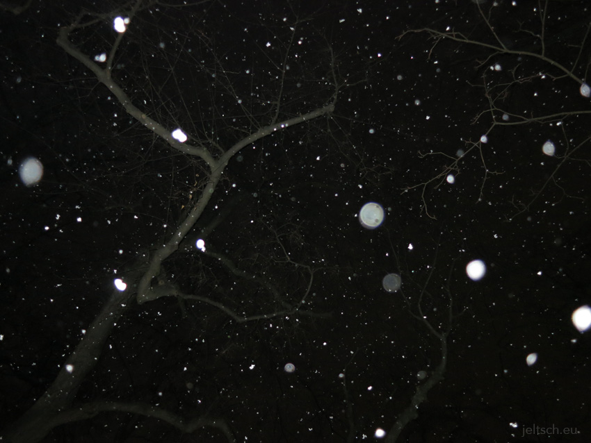 -Snow-Tree-Night-2811-13x18